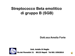 Dott. Aniello Di Meglio Via dei Fiorentini 21 80133 Napoli Tel 081