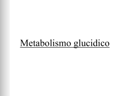 Lezione Glucidi