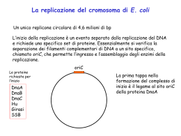 lez__2005_c - Universit&agrave; degli Studi di Roma Tor Vergata