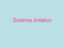 Sistema linfatico