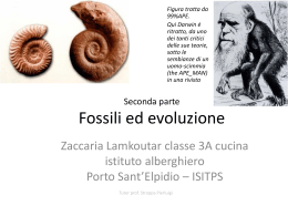 Fossili ed evoluzione