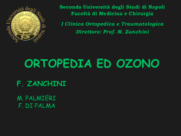 Lombalgie - Societ&agrave; Scientifica di Ossigeno Ozono Terapia