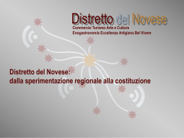 Il Distretto Novese
