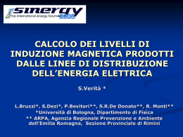 Sinergy-2005 calcolo induzione magnetica
