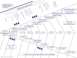 Sviluppo delle metodologie per la qualit&agrave;