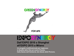EXPOSYNERGY