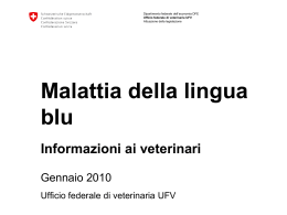 Malattia della lingua bl&ugrave; - Informazioni complementari per i