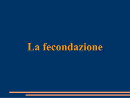 Lezione 3