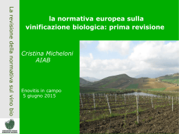 Micheloni - Enovitis in campo