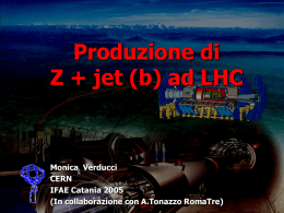 Z + jet (b) Study