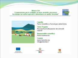 Cooperazione per lo sviluppo di nuovi prodotti, processi e