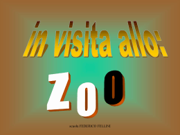 zoo