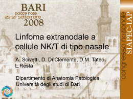 075 - A.Scivetti, D.Di Clemente, et al