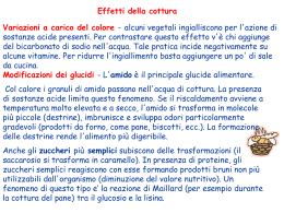 Trasformazioni chimiche e biologiche a carico dei