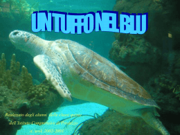 Un tuffo nel blu