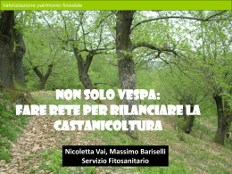 N. Vai - GAL Appennino Bolognese