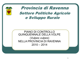 interventi selettivi puntiformi