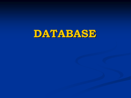 Database - Trade System