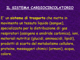 n° 9 - circolazione 2 (vnd.ms-powerpoint, it, 135 KB, 12/19/02)