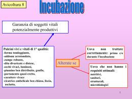 Incubazione