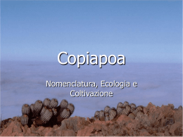 Il genere Copiapoa