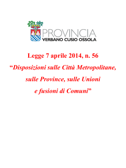 DDL Delrio slide 04.07.2014 per stampa