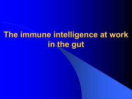 Immunità intestinale - microbiologiatorvergata.it