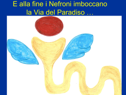 Seminario dialisi - Corso di Laurea in Infermieristica