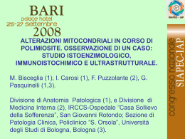 117 - M.Bisceglia, I.Carosi, et al.