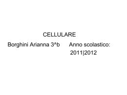 Il telefono cellulare