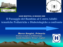 Relazione Prof. Marco Songini