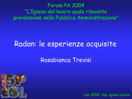 1258-rosabianca-trevisi-2
