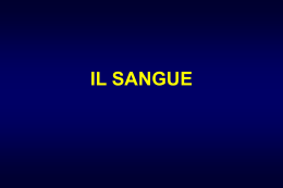IL SANGUE - The Immortal