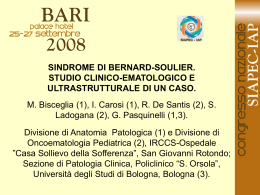 132 - M.Bisceglia, I.Carosi, et al.
