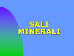 5 sali minerali1 - I blog di Unica