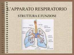 Respirazione esterna o polmonare. Scambio di ossigeno dell`aria