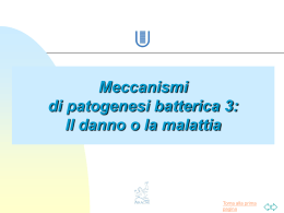 Le tossine batteriche-2 - Microbiologia TorVergata