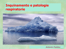 scarica il file in power point