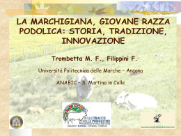 storia, tradizione, innovazione Marchigiana, young Podolic