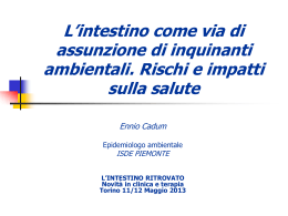 Microinquinanti