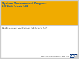 System Measurement Program SAP Basis Release 4.0B