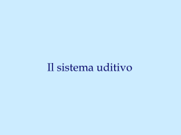 Sistema uditivo