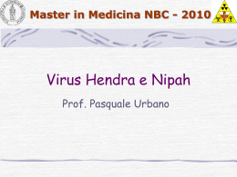 Virus Hendra e Nipah