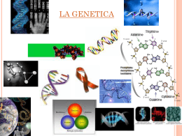 La Genetica (Matteo Amato 3 D)