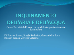 INQUINAMENTO DELL`ARIA