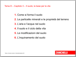 1. Come si forma il suolo 2. Le particelle minerali e le proprietà del