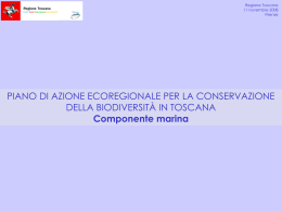 monitoraggio