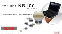 TOSHIBA NB100