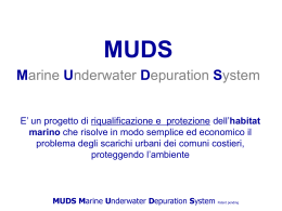 Marine Underwater Depuration System