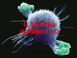sistemaimmunitario3b - Liceo Scientifico Salvemini
